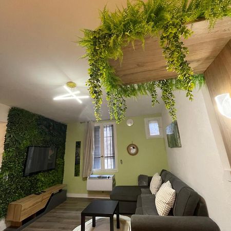 Magnifique Appartement Avignon Intra-Muros Exteriör bild